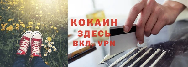 гашик Саяногорск