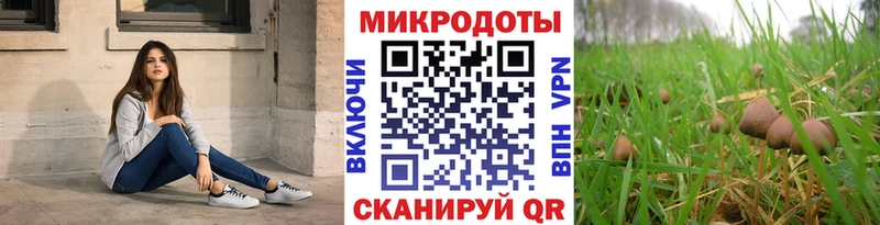 закладка  Кубинка  Галлюциногенные грибы мухоморы 