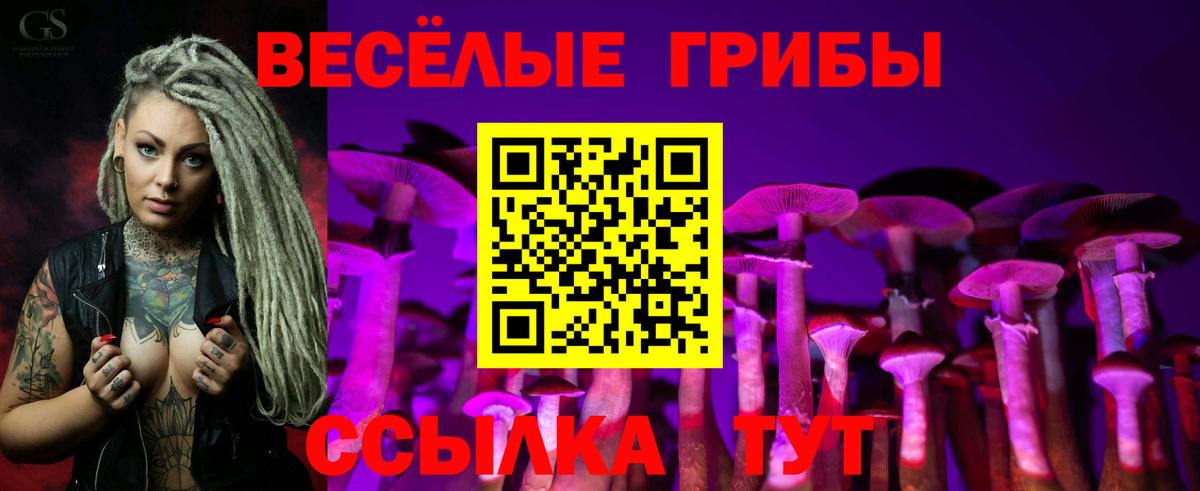 Кубинка  Псилоцибиновые грибы мицелий  Вход с VPN  где купить наркотик  Псилоцибиновые грибы прущие грибы 